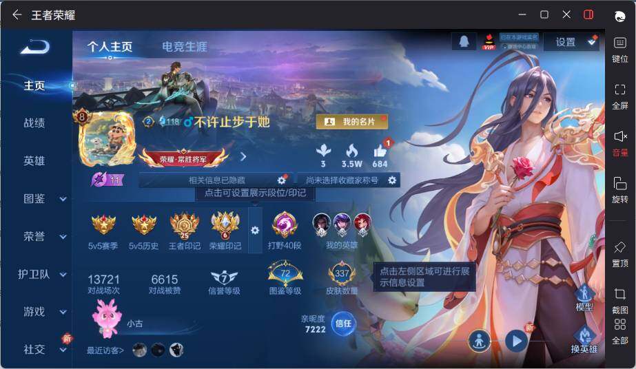 WZCMW3450773王者荣耀账号详情图8