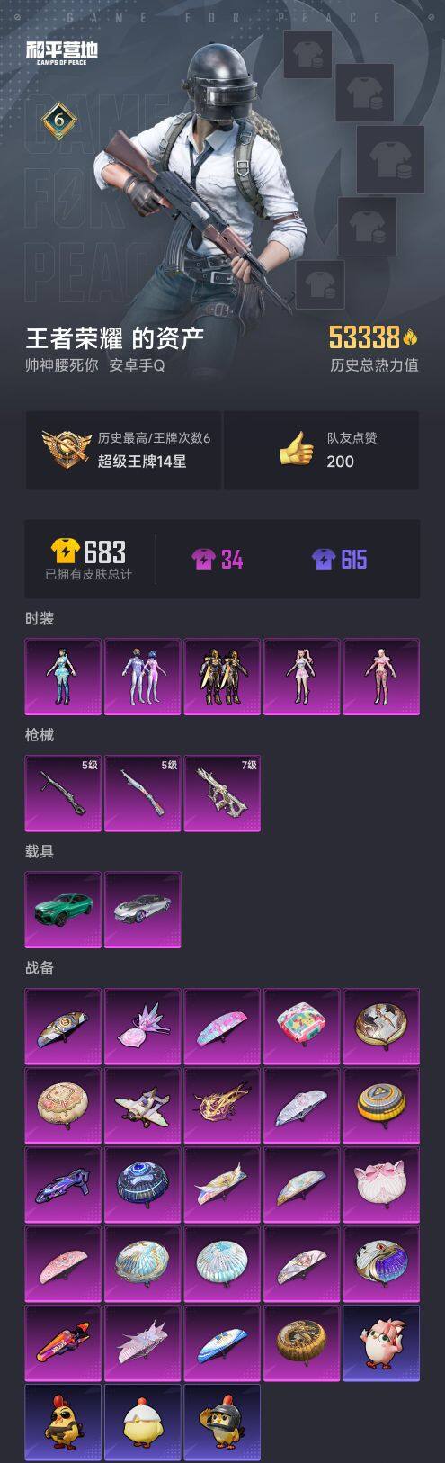 HPCMW3437094和平精英账号详情图6 HPCMW3437094和平精英账号详情图6