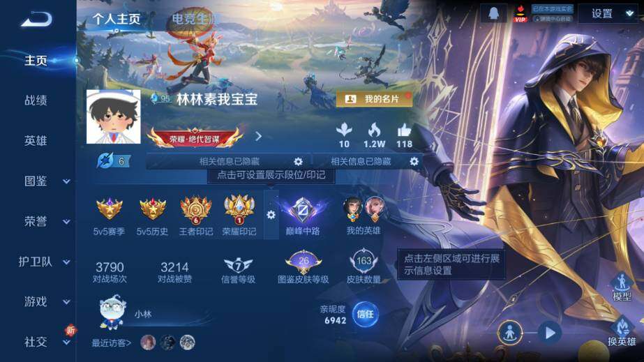 WZ03410208王者荣耀账号详情图7