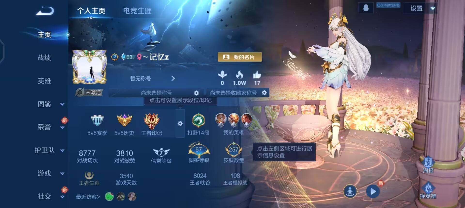 WZQM3449183王者荣耀账号详情图3