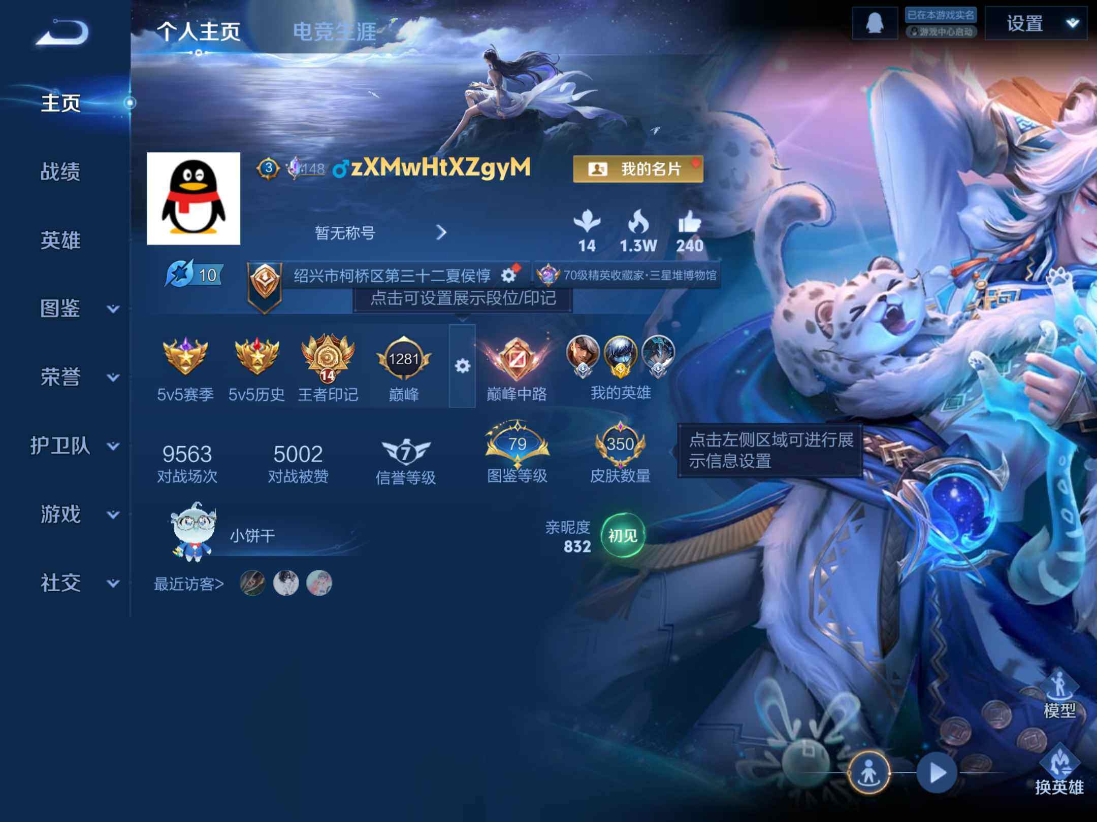 WZKG457339王者荣耀账号详情图9