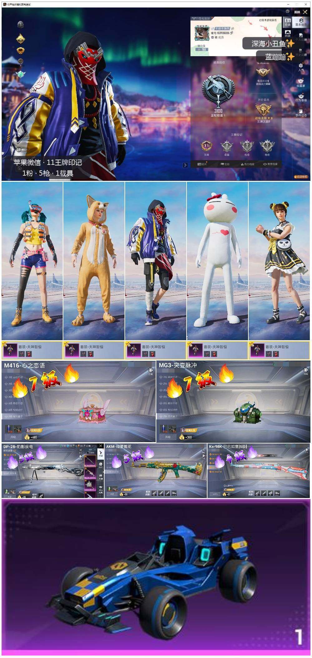 HPLX3440679和平精英账号详情图2