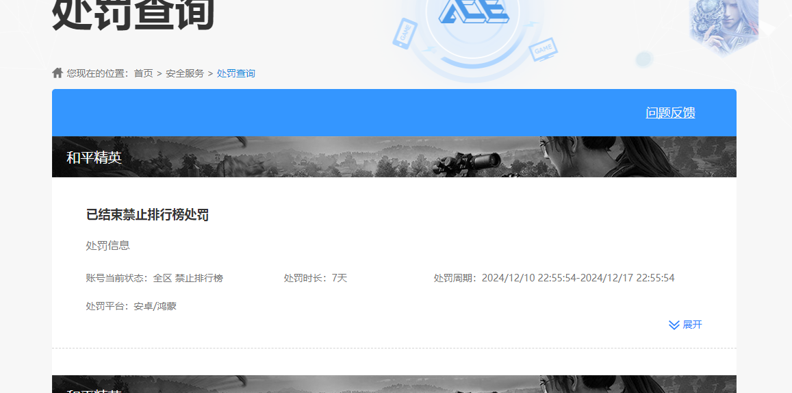 WZKG449146王者荣耀账号详情图10