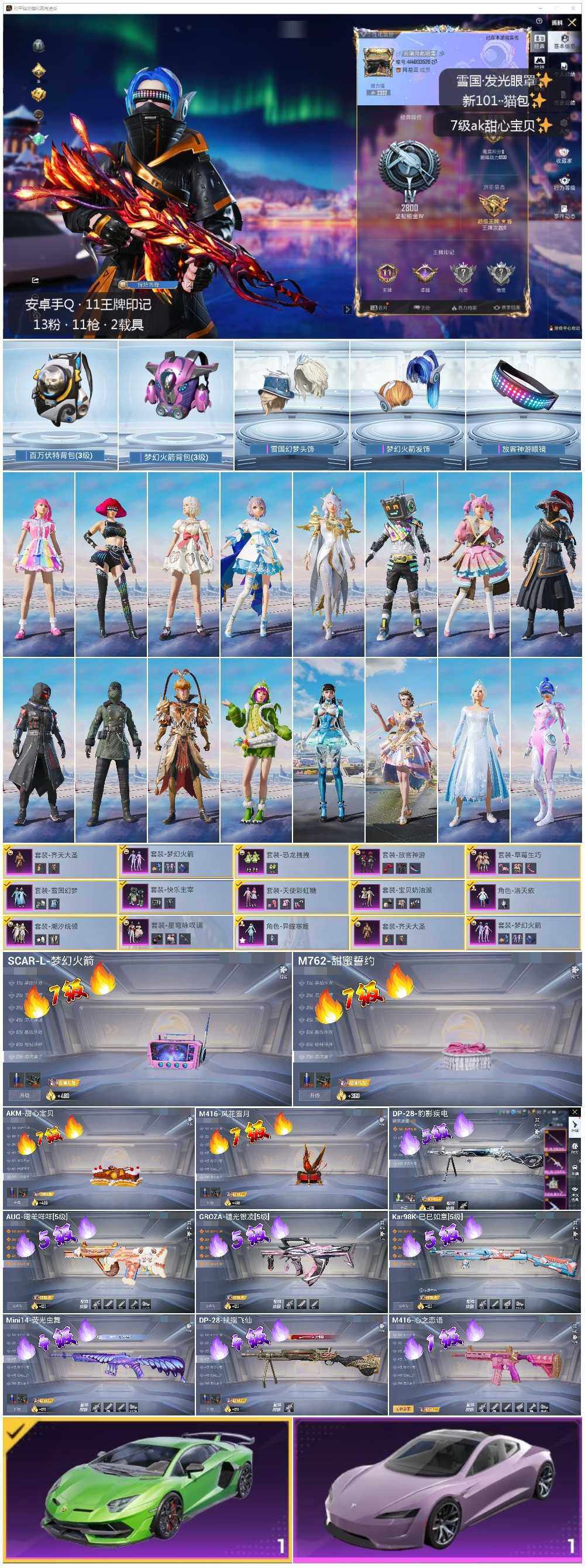 HPCMW3440669和平精英账号详情图2