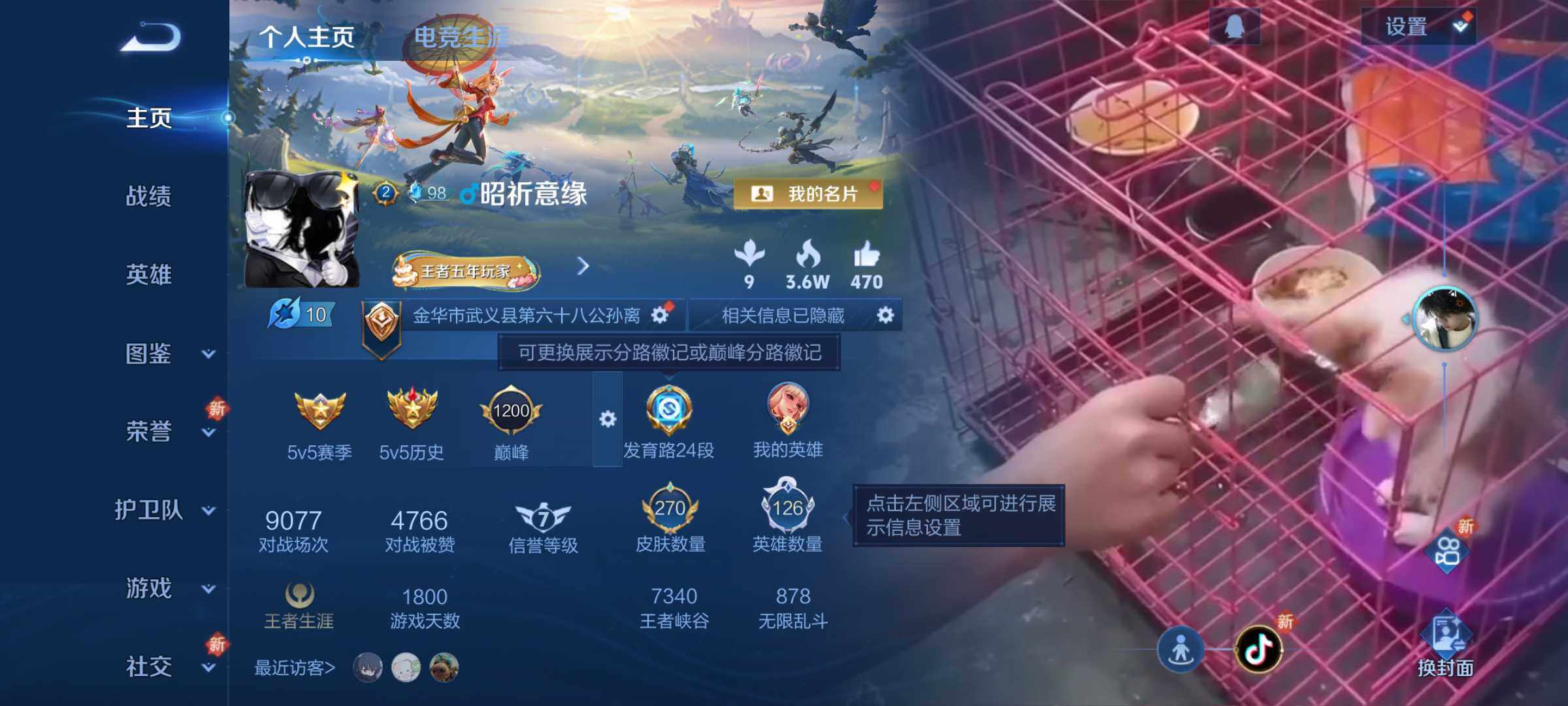 WZLX3450491王者荣耀账号详情图6