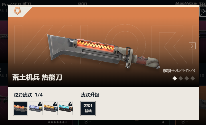 WWQQM43454无畏契约账号详情图15