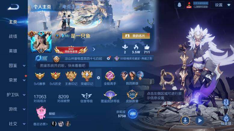 WZ03410293王者荣耀账号详情图10