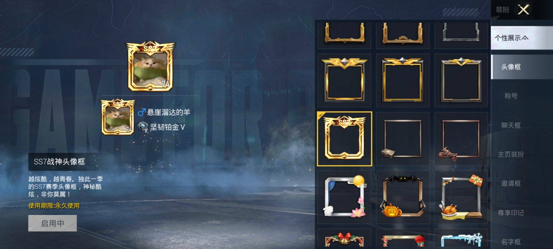 HPQM3440247和平精英账号详情图4