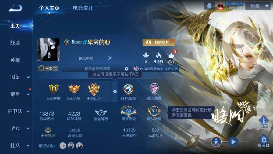 WZ03410331王者荣耀账号详情图10