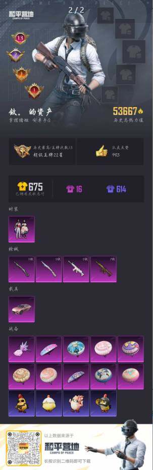 HPCMW3442646和平精英账号详情图5