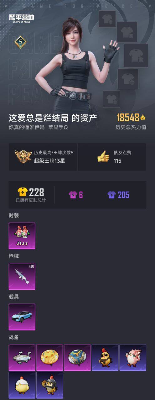 HPCMW3442069和平精英账号详情图5