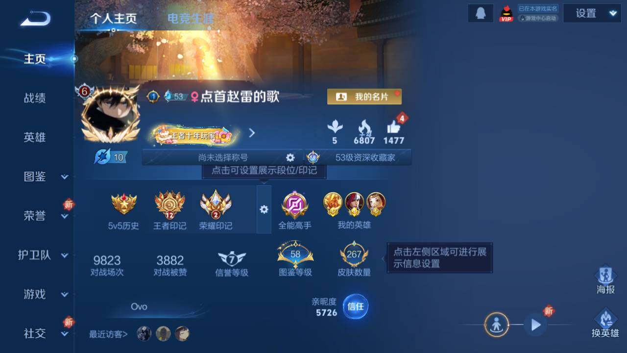 WZ03410349王者荣耀账号详情图12