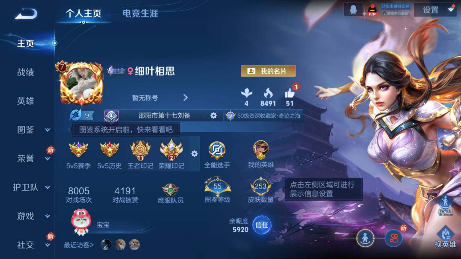 WZ03410367王者荣耀账号详情图8