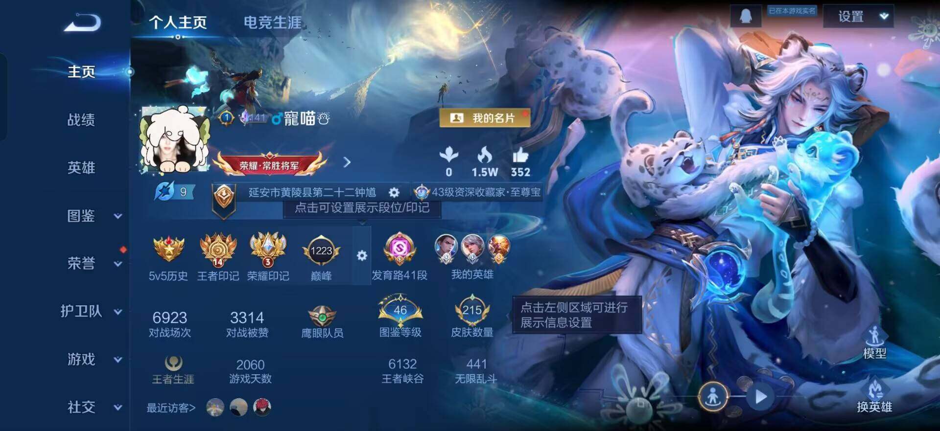 WZQM3466366王者荣耀账号详情图3