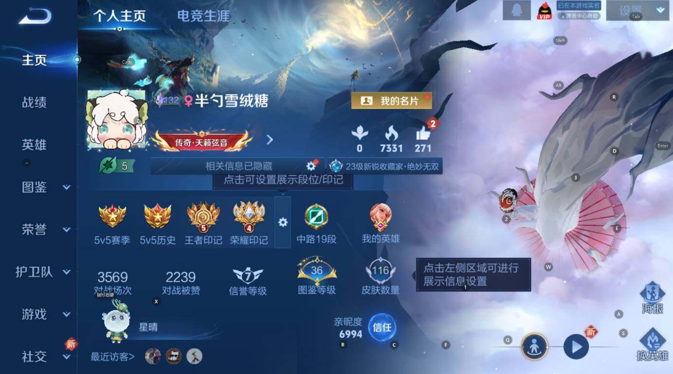 WZCMW3455728王者荣耀账号详情图6