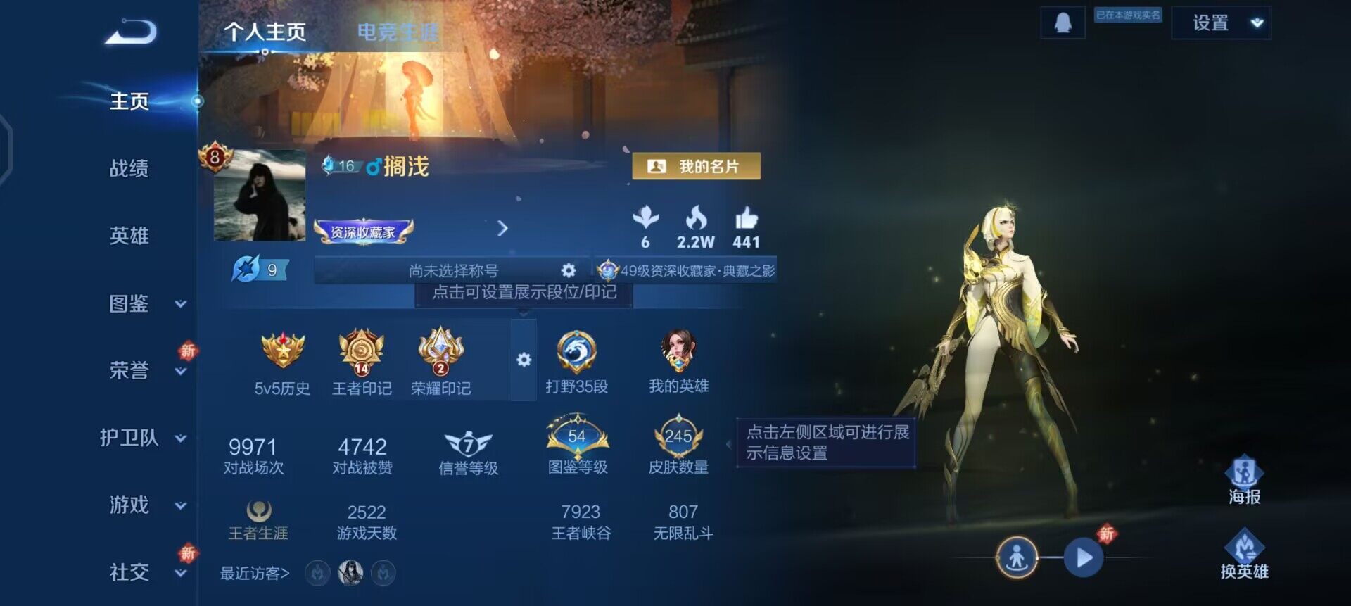 WZQM3466654王者荣耀账号详情图3