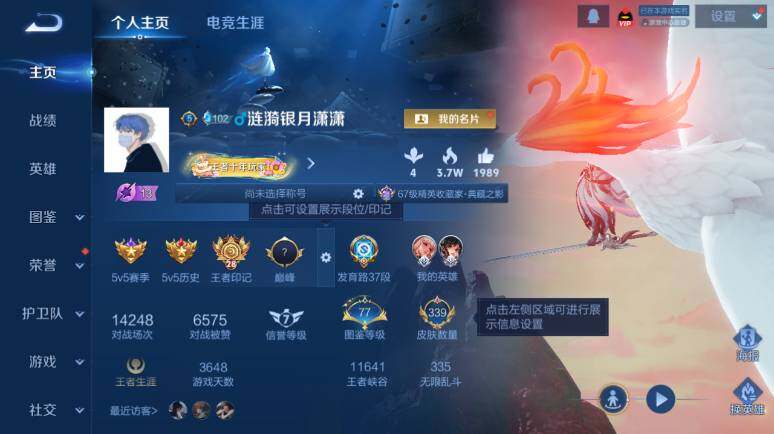 WZ03410386王者荣耀账号详情图10