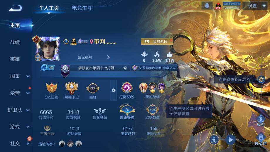 WZ03410416王者荣耀账号详情图9