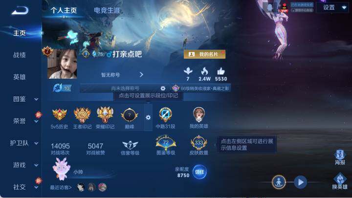 WZ03410433王者荣耀账号详情图10