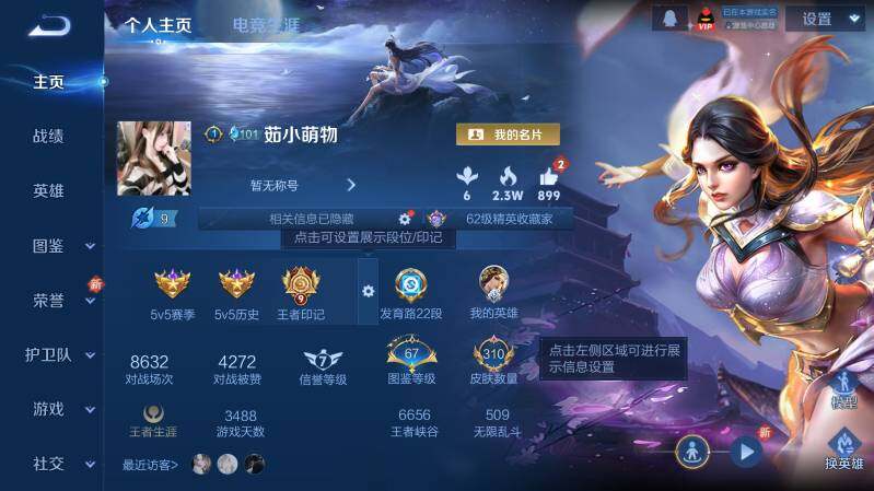 WZ03410441王者荣耀账号详情图8