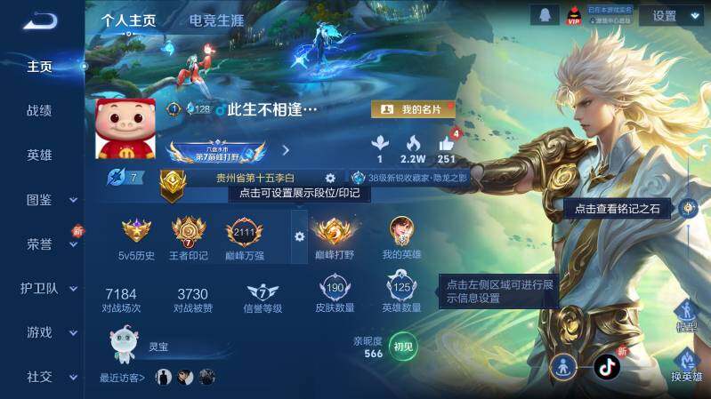 WZ03410460王者荣耀账号详情图9