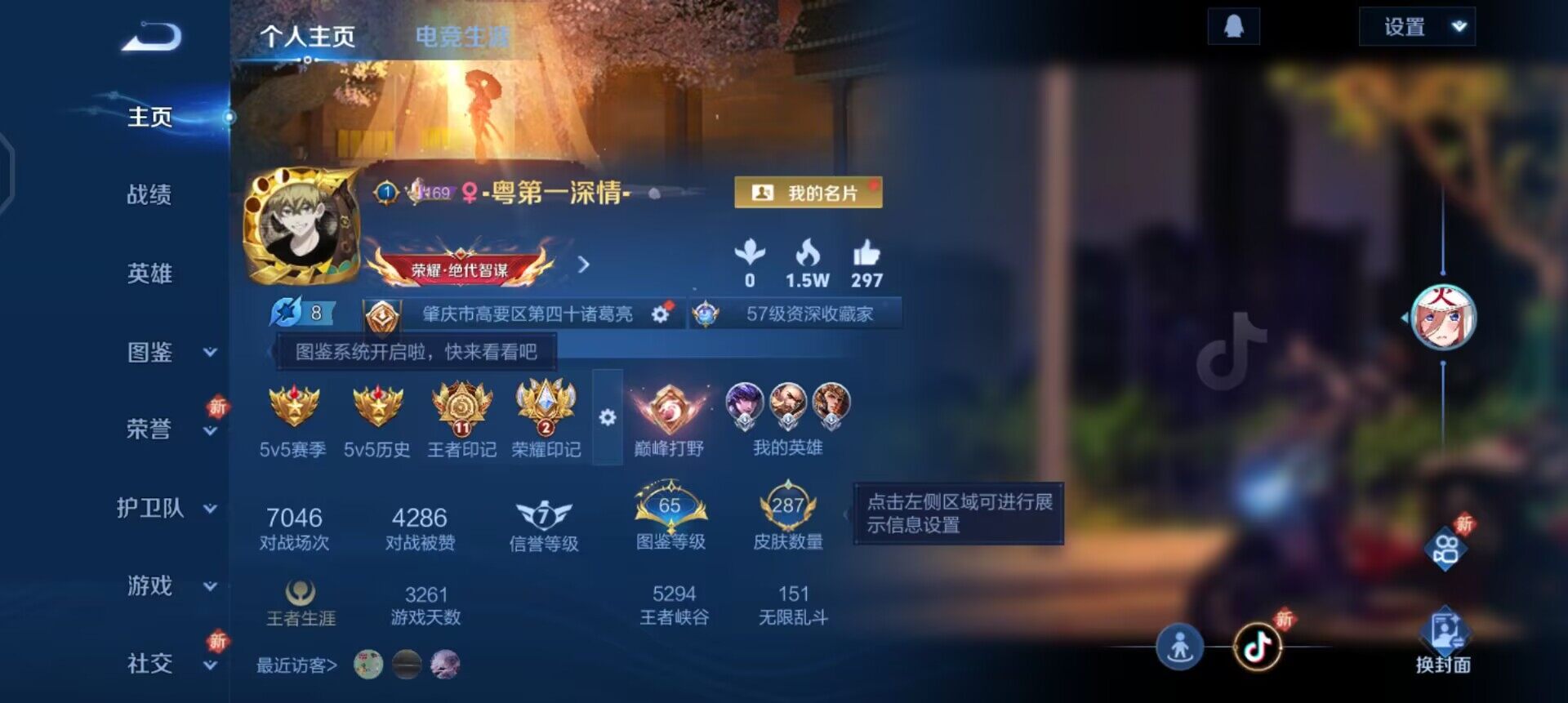 WZQM3466664王者荣耀账号详情图3