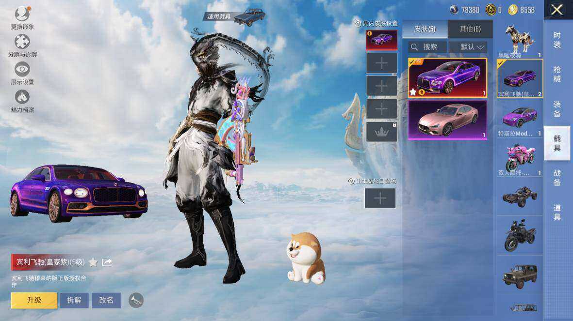 HPLE3445204和平精英账号详情图17