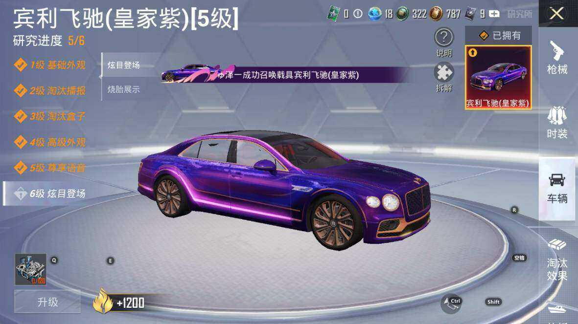 HPLE3445204和平精英账号详情图27