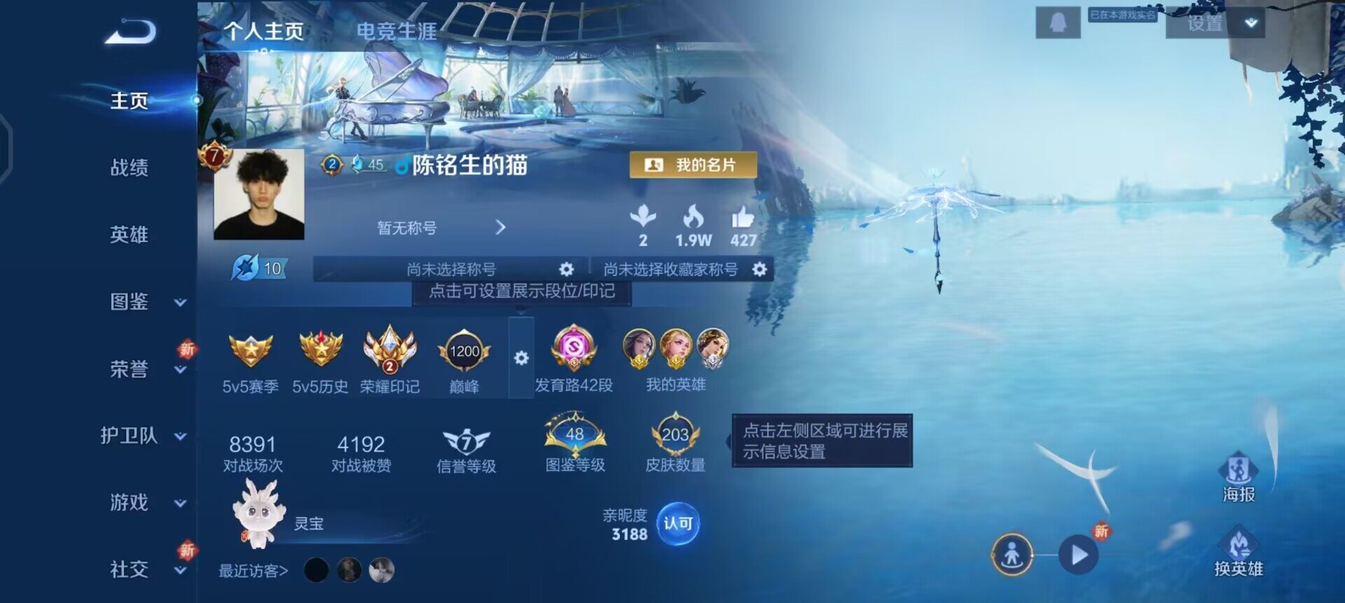 WZQM3466650王者荣耀账号详情图3