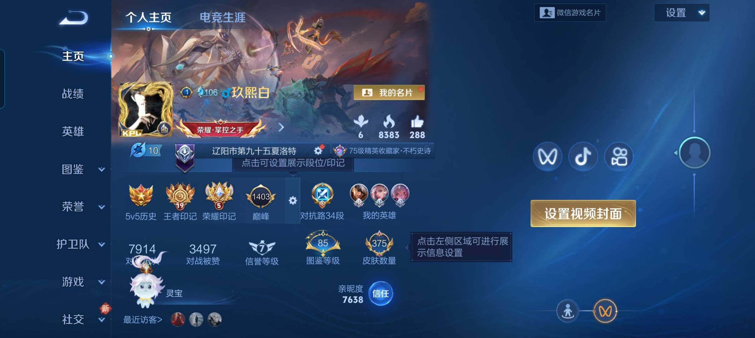 WZCMW3468337王者荣耀账号详情图9