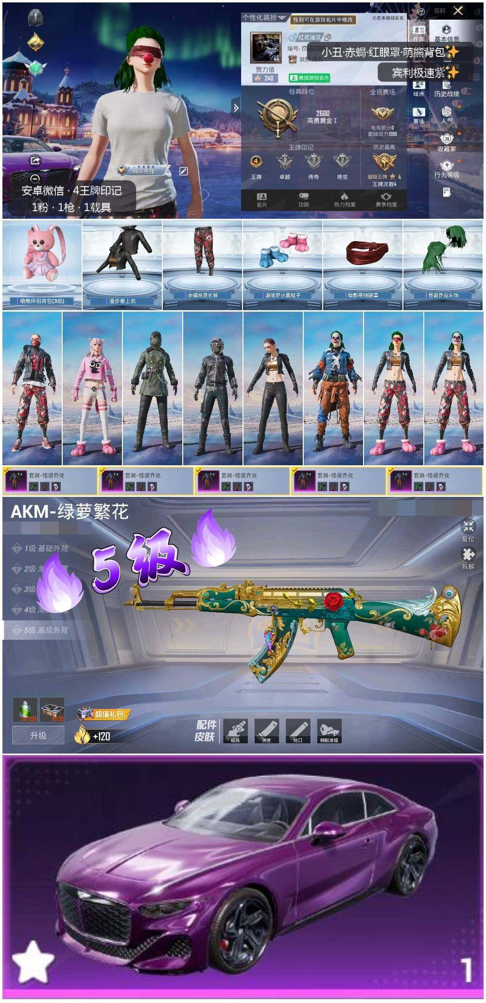 HPLE3447704和平精英账号详情图2 HPLE3447704和平精英账号详情图2