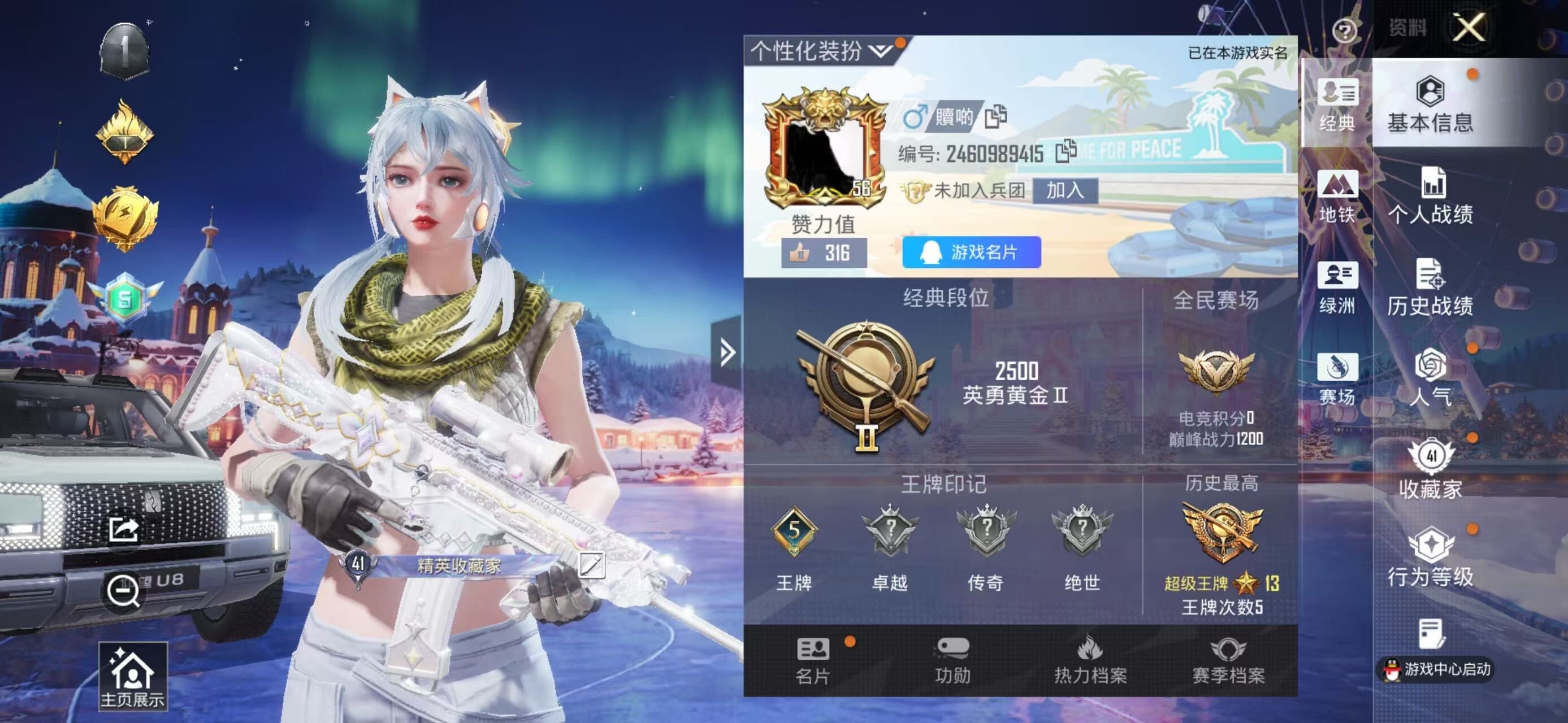 HPLE3447629和平精英账号详情图7