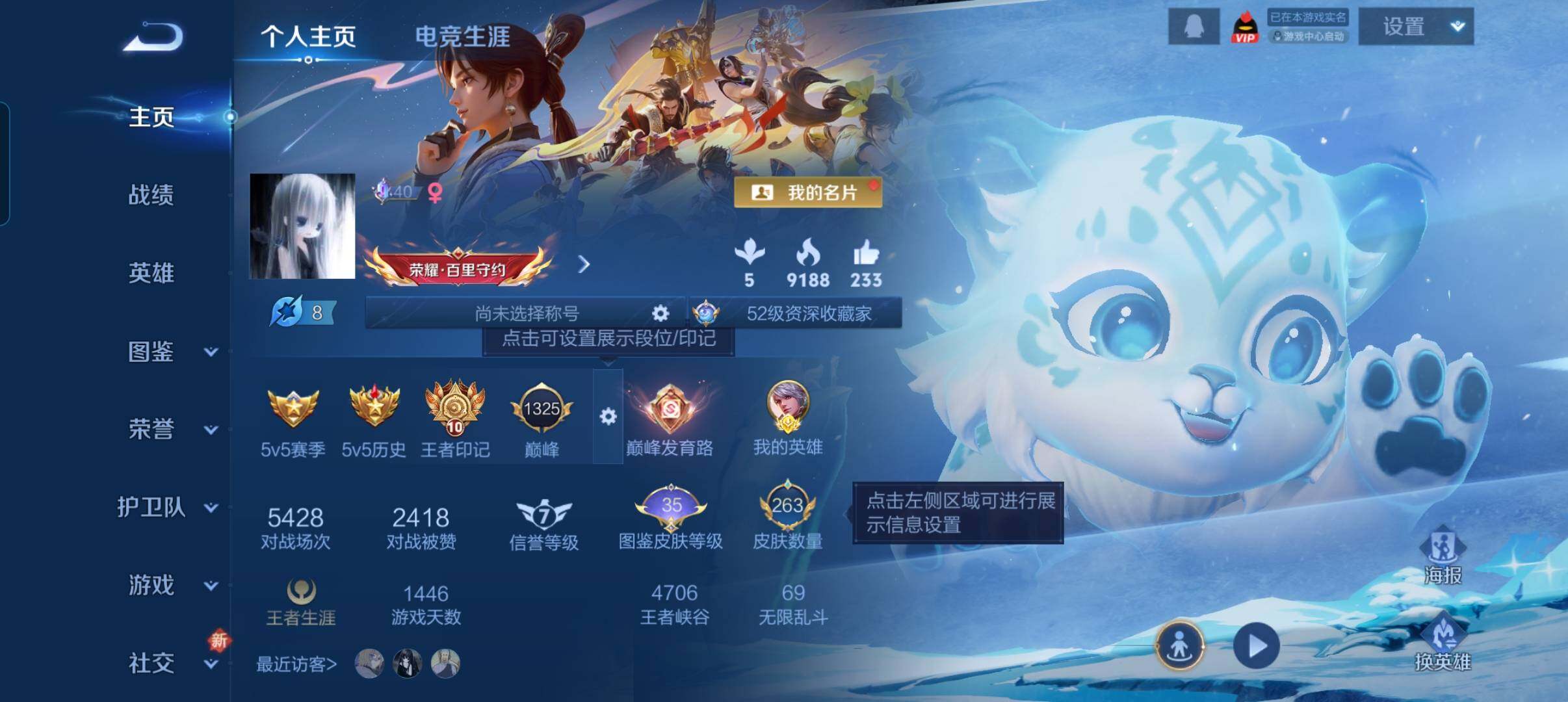 WZCMW3468340王者荣耀账号详情图9