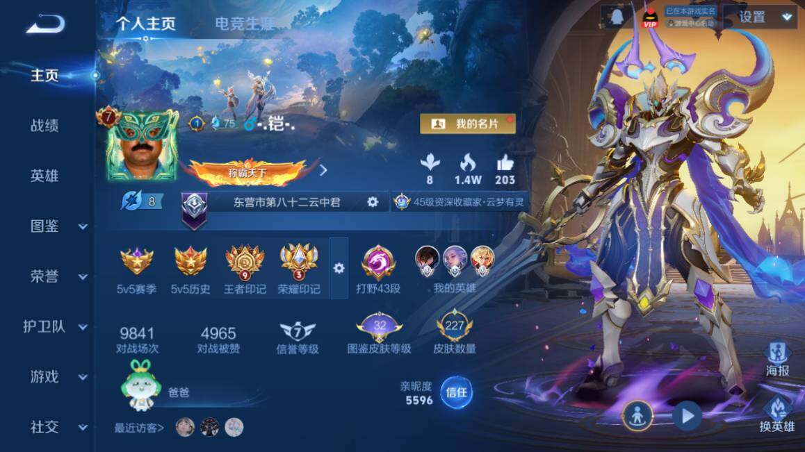 WZ03410505王者荣耀账号详情图9