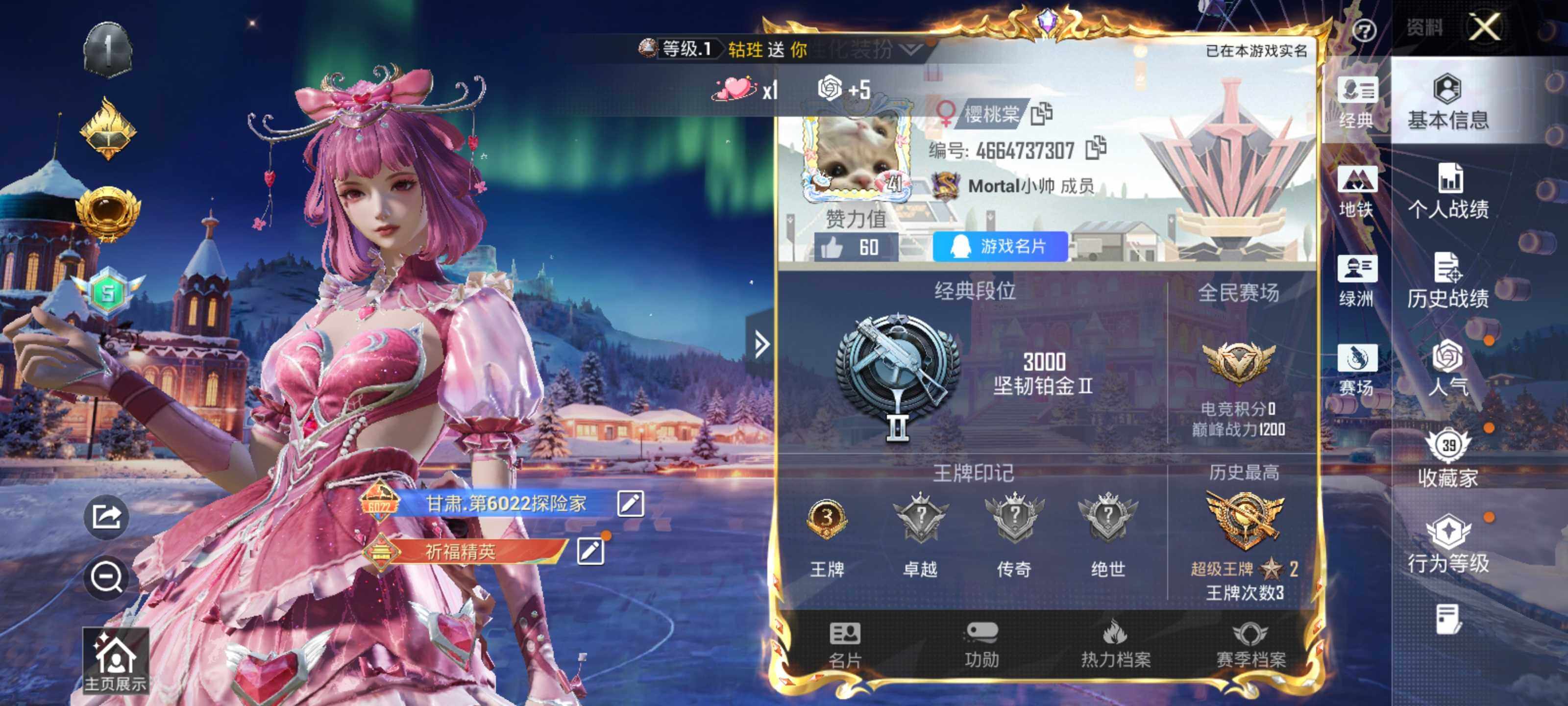 HPLE3447652和平精英账号详情图4