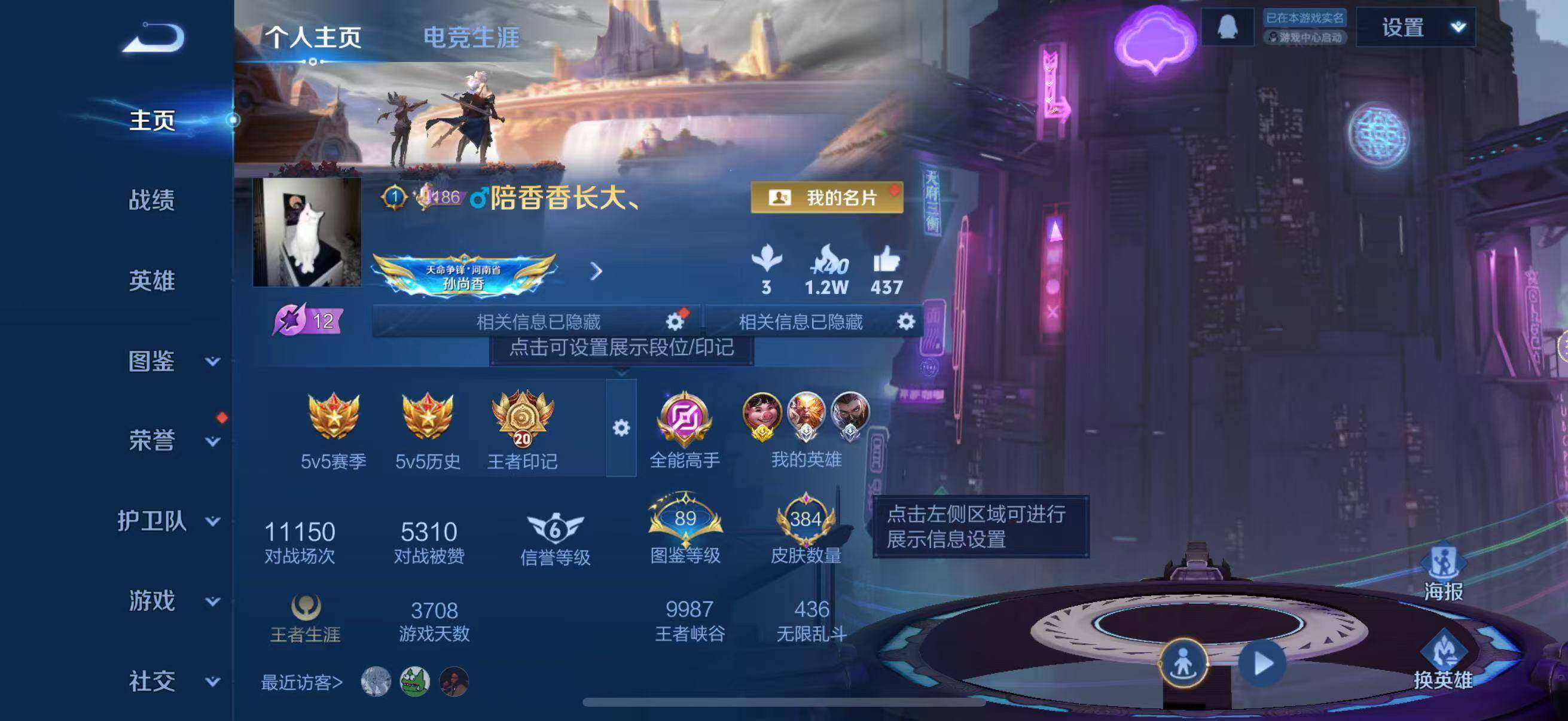 WZJZ3483433王者荣耀账号详情图10