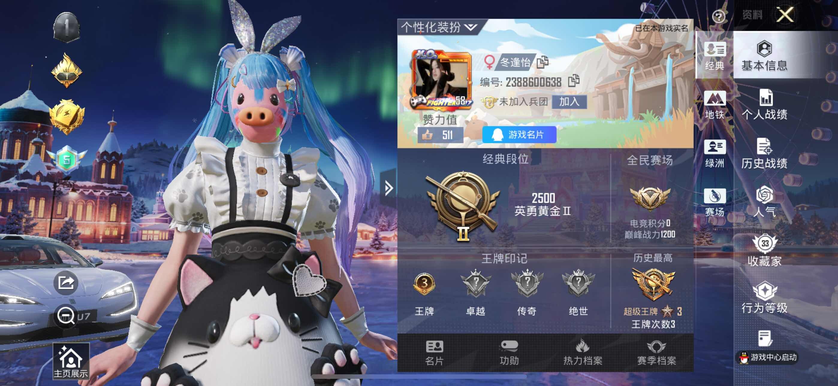 HPLX3447573和平精英账号详情图6