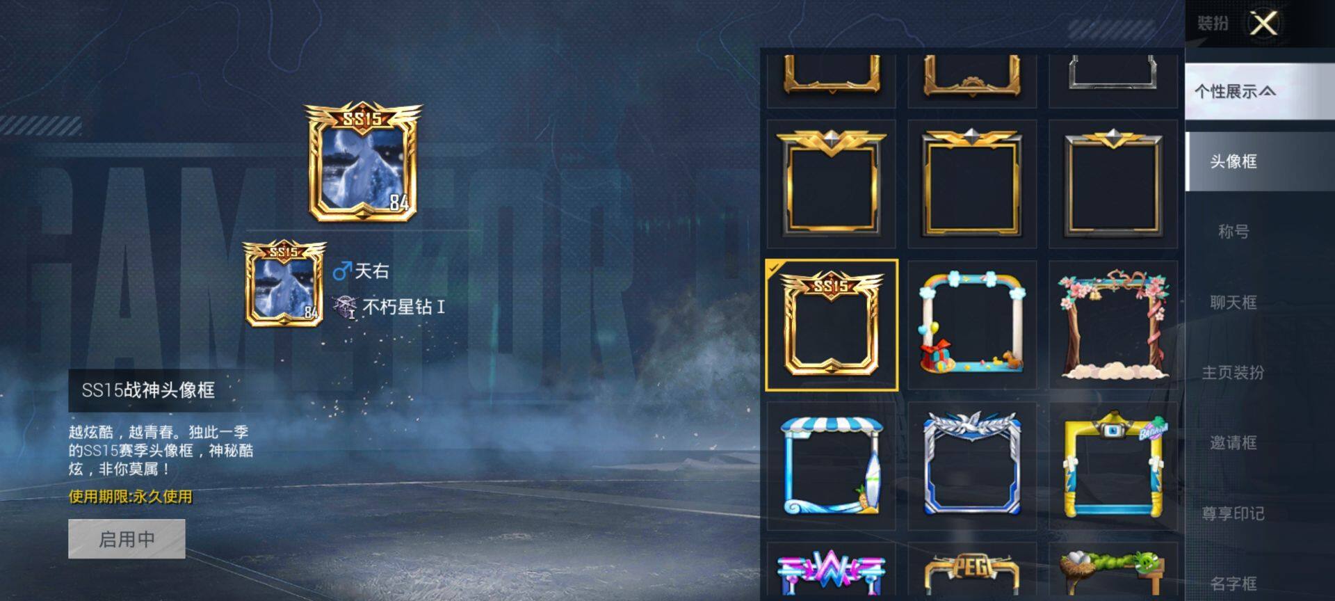 HPQM3446989和平精英账号详情图4