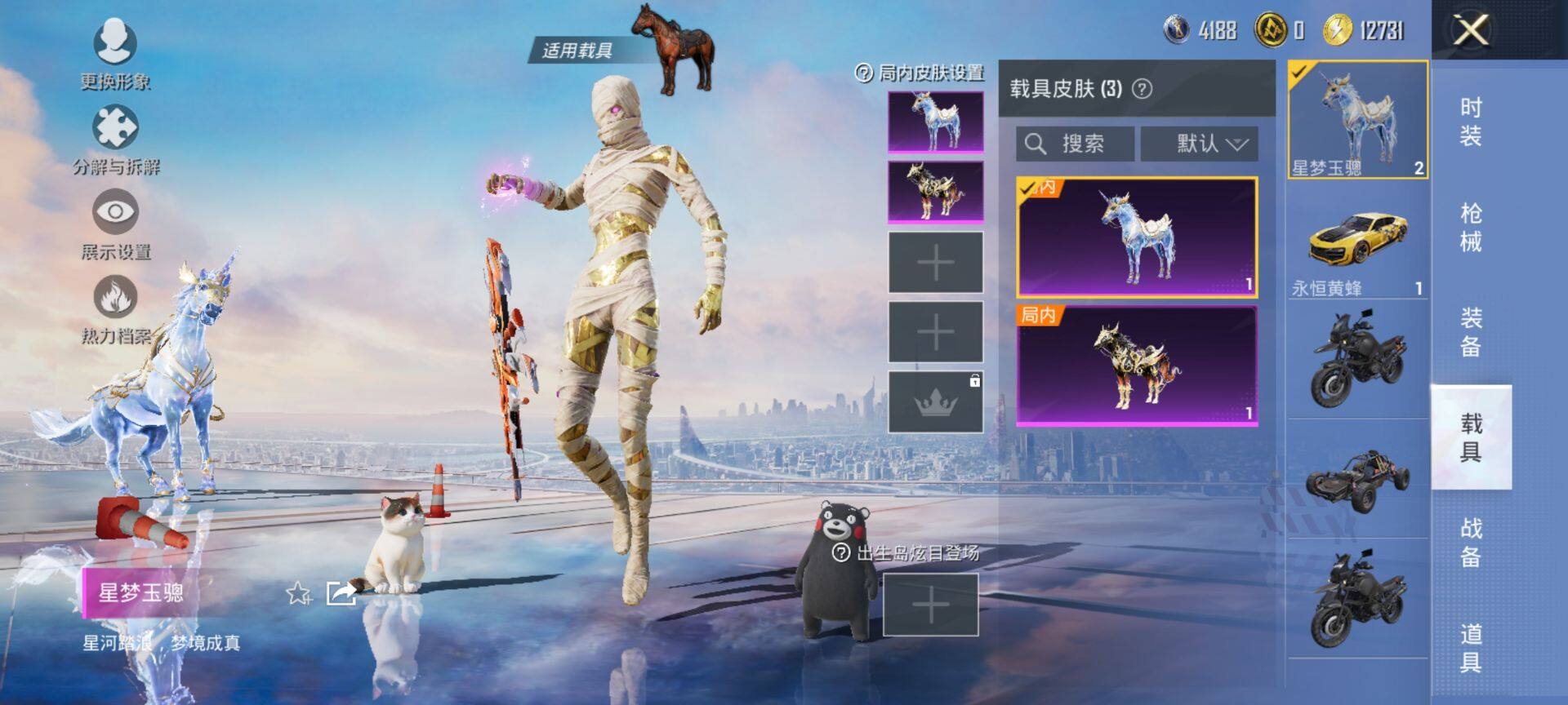 HPQM3446989和平精英账号详情图16