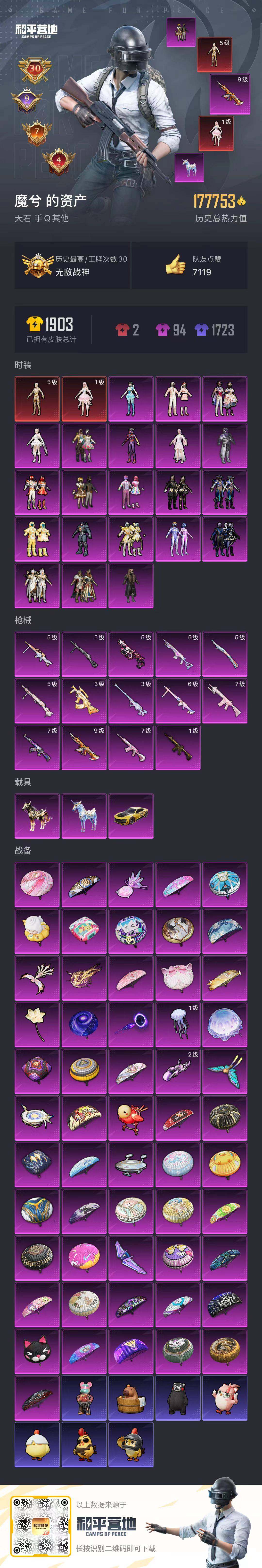 HPQM3446989和平精英账号详情图32