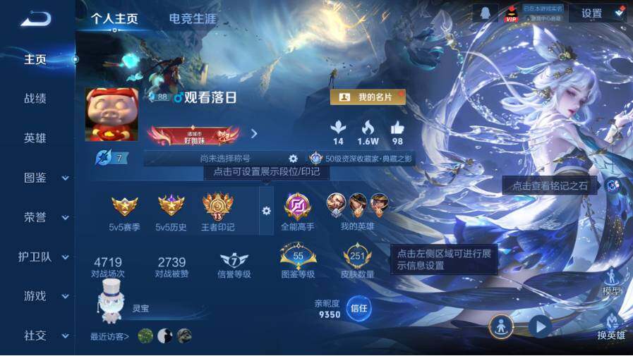 WZ03410546王者荣耀账号详情图8