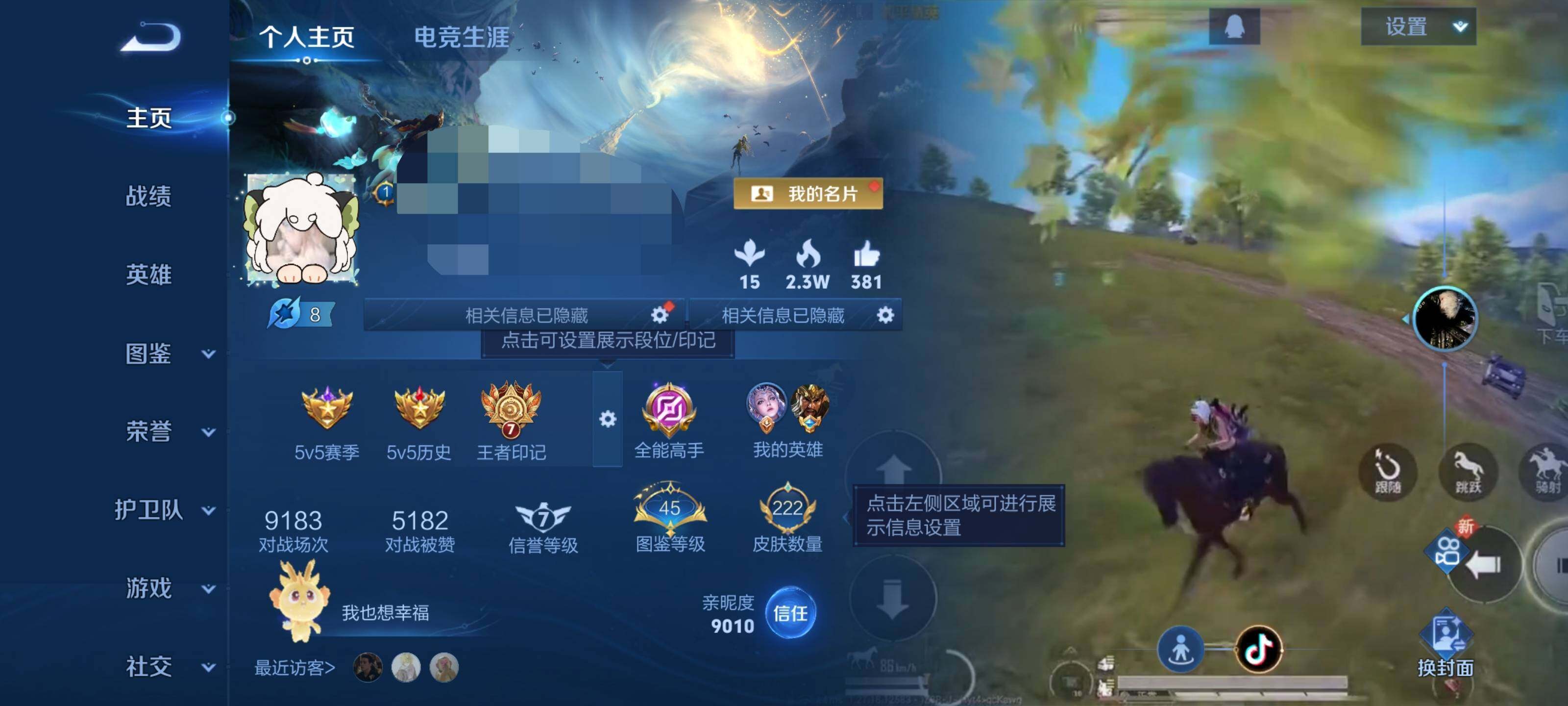 WZEY466039王者荣耀账号详情图5