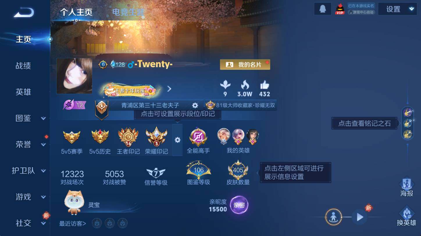 WZCMW3466110王者荣耀账号详情图10