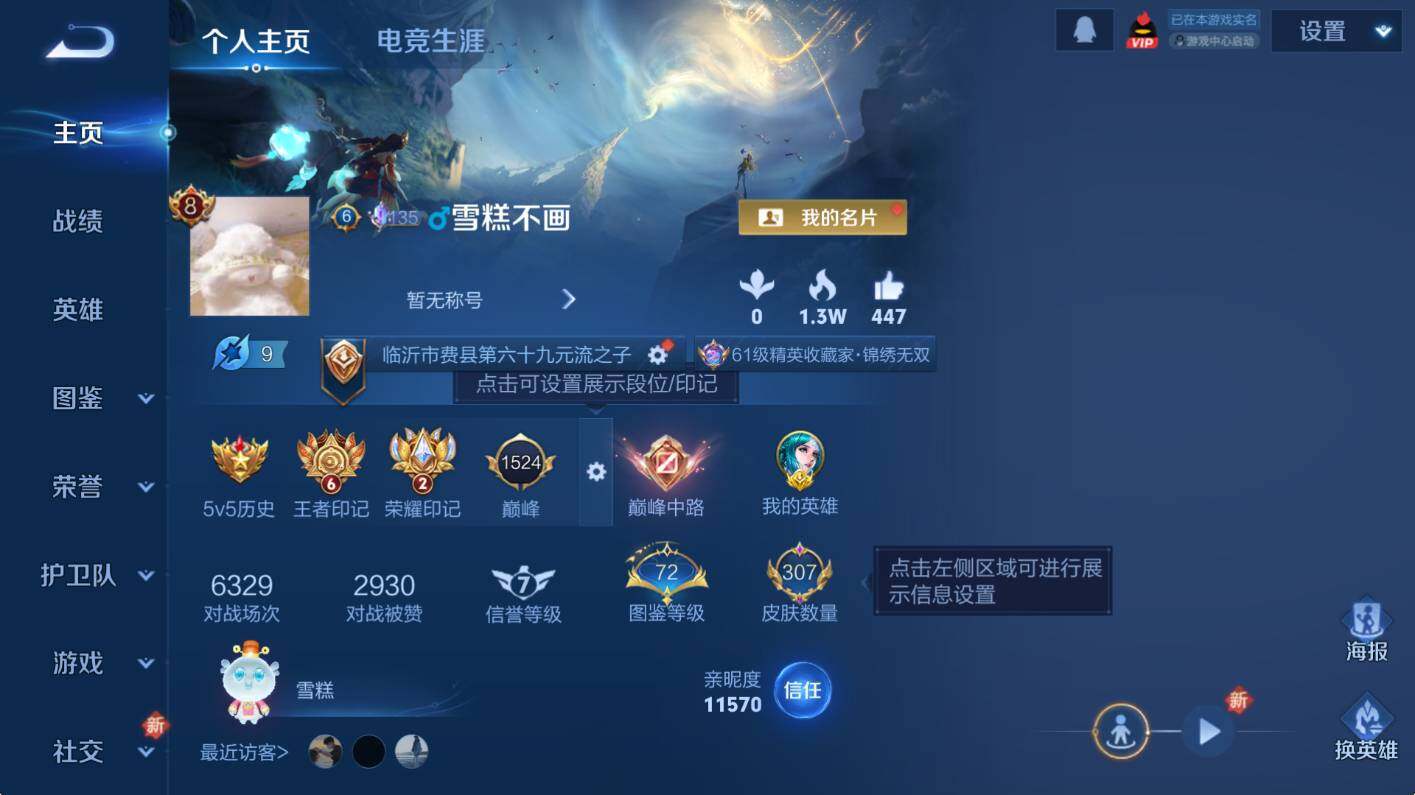 WZCMW3467838王者荣耀账号详情图9