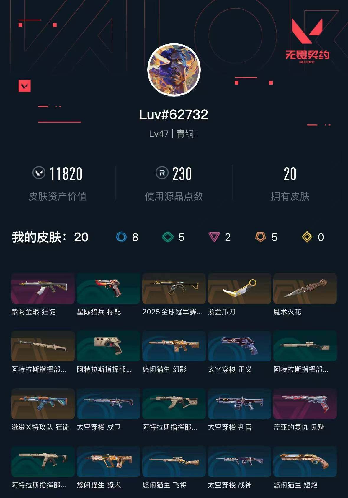 WWQXL332557无畏契约账号详情图3