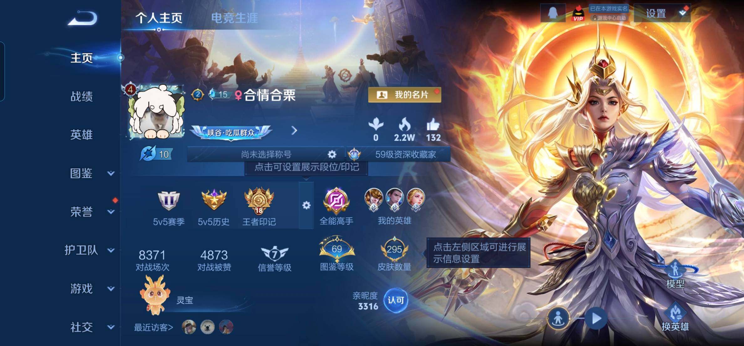 WZKG497287王者荣耀账号详情图14