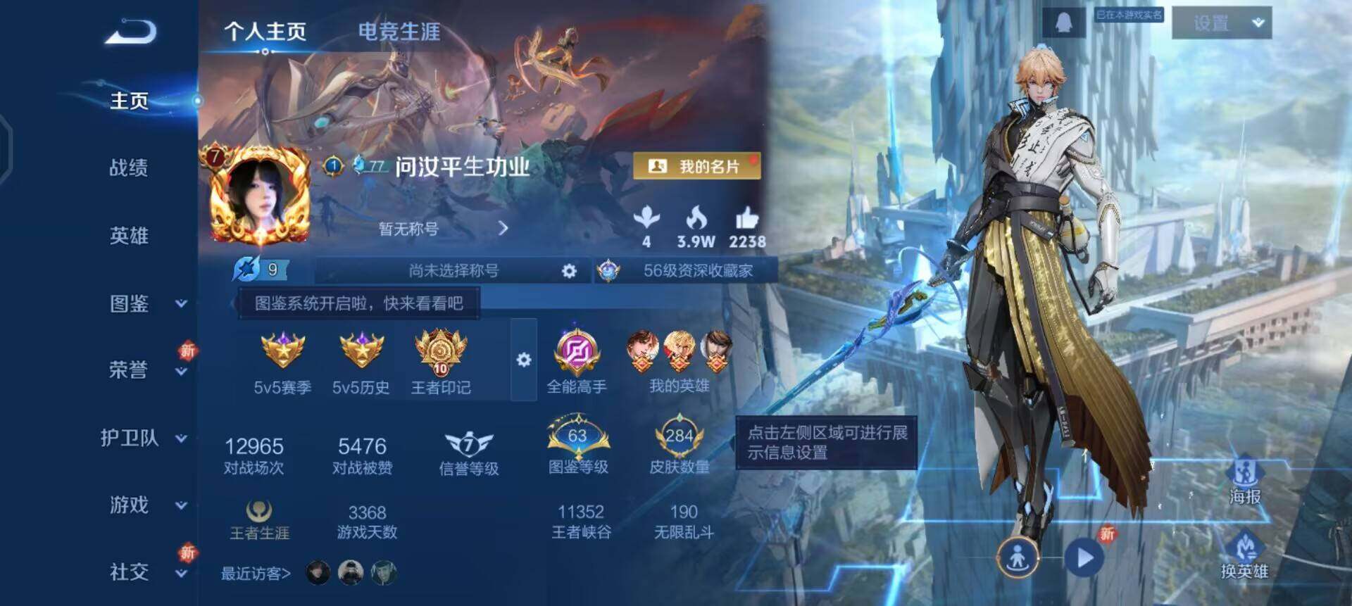 WZQM3471593王者荣耀账号详情图3