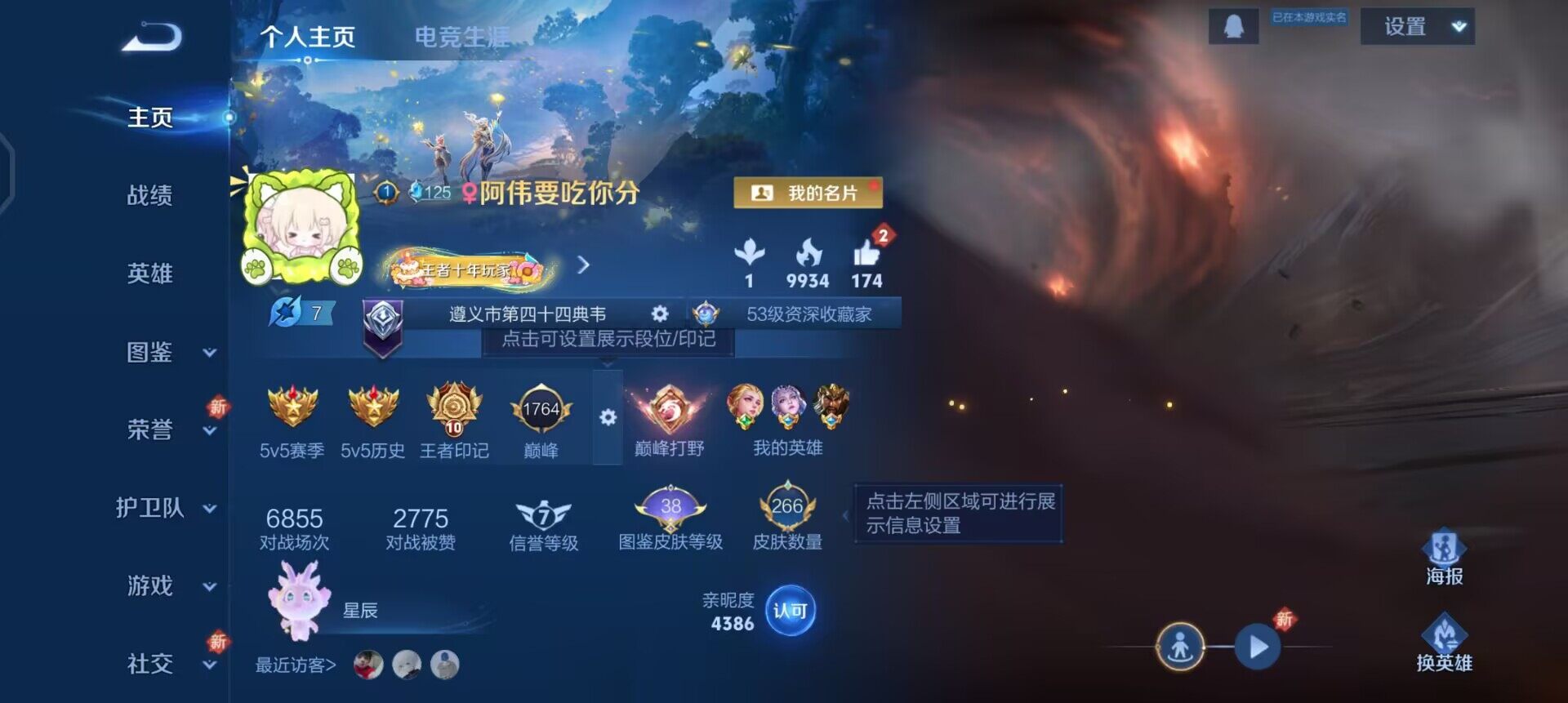 WZQM3471595王者荣耀账号详情图3