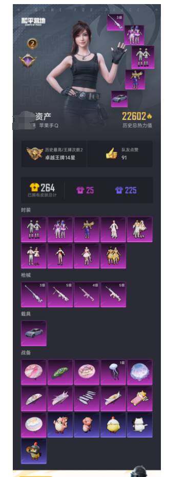 HPCMW3448653和平精英账号详情图2