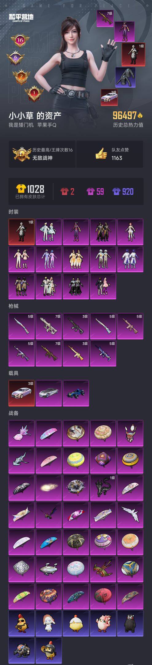 HPCMW3449031和平精英账号详情图8 HPCMW3449031和平精英账号详情图8